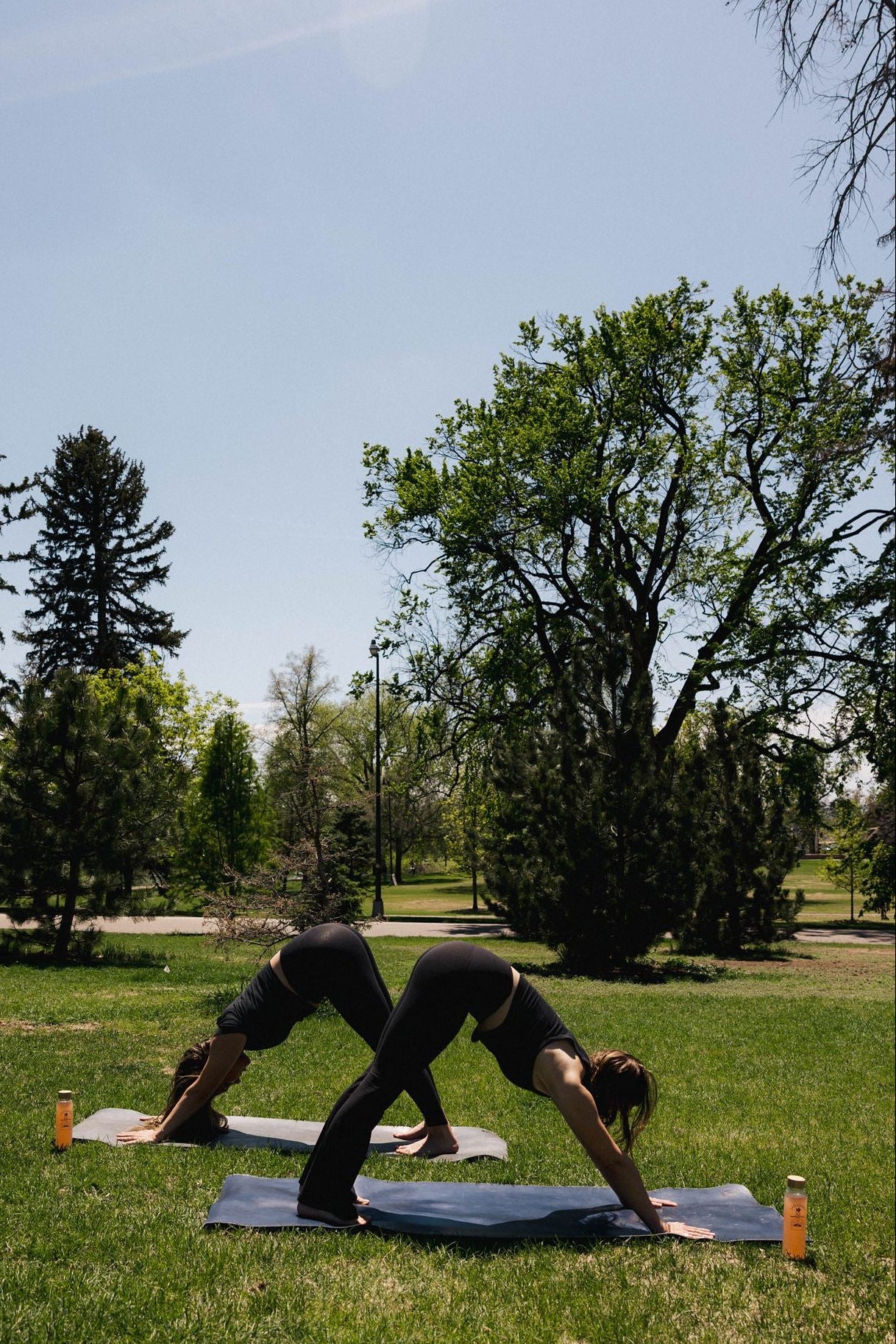 Two people practicing yoga on grass with Creatine Cactus Water